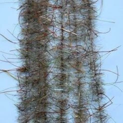 EP WOOLY CRITTER BRUSH -Wild Fishing Trip Shop 0BU WO SC 1 300x300 1