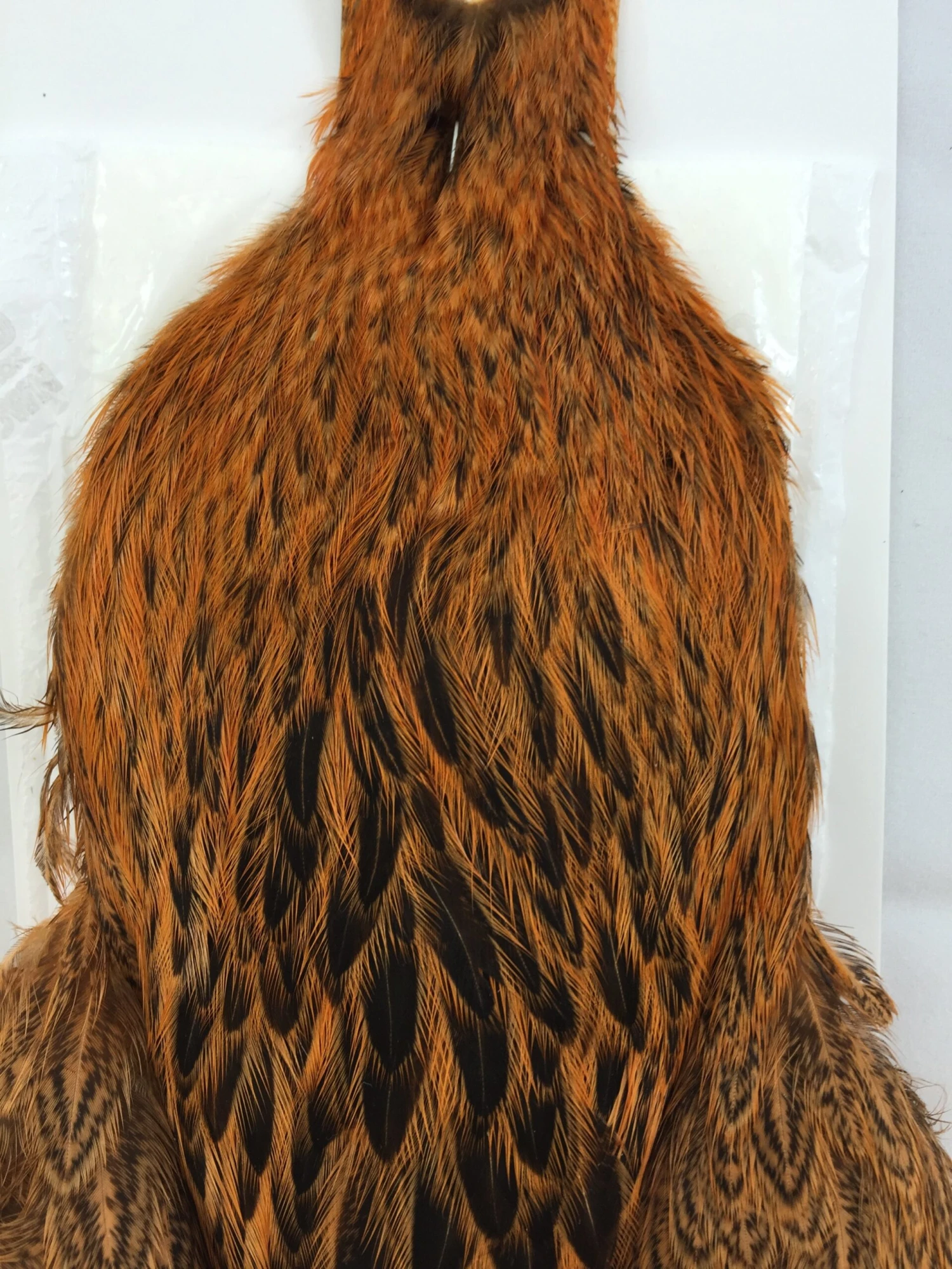 Whiting Brahma Hen SH/C 2 Whiting Brahma Hen SH/C - Image 2