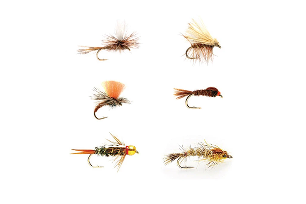 All Around Trout Selection 1 All Around Trout Selection