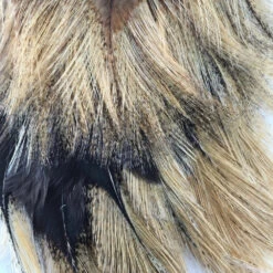 Whiting CDL Tailing Pack -Wild Fishing Trip Shop CDL Lite ginger