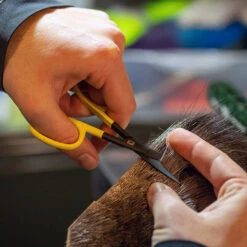 Loon Outdoors LOON ERGO HAIR SCISSORS -Wild Fishing Trip Shop Ergo Hair Scissors alt 3 1000x 39e2965d 92bd 4c06 881a b0fdb0e2a4d9