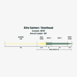 Rio Sage Elite SalmonSteelhead Fly Line 5 Rio Sage Elite SalmonSteelhead Fly Line -Wild Fishing Trip Shop FW Elite Salmon Steelhead fly line taper scaled