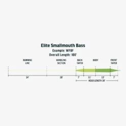 RIO Elite Smallmouth Bass Fly Line -Wild Fishing Trip Shop FW Elite Smallmouth Bass fly line taper