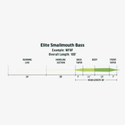 RIO Elite Smallmouth Bass Fly Line 5 RIO Elite Smallmouth Bass Fly Line -Wild Fishing Trip Shop FW Elite Smallmouth Bass fly line taper scaled