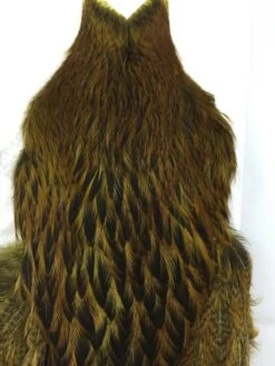 Whiting Brahma Hen SH/C 9 Whiting Brahma Hen SH/C -Wild Fishing Trip Shop IMG 5487