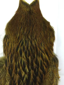 Whiting Brahma Hen SH/C 9 Whiting Brahma Hen SH/C -Wild Fishing Trip Shop IMG 5487 scaled