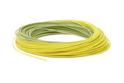 RIO PREMIER GOLD FLY LINE -Wild Fishing Trip Shop Premier RIOGold Coil Moss Gold 1024x1024 9949e5dd 51d1 4bc7 927b 37e68d8a6fba