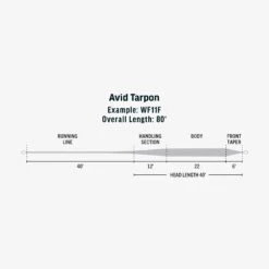 RIO Avid Tarpon -Wild Fishing Trip Shop SW Avid Tarpon fly line taper