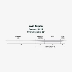 RIO Avid Tarpon -Wild Fishing Trip Shop SW Avid Tarpon fly line taper scaled
