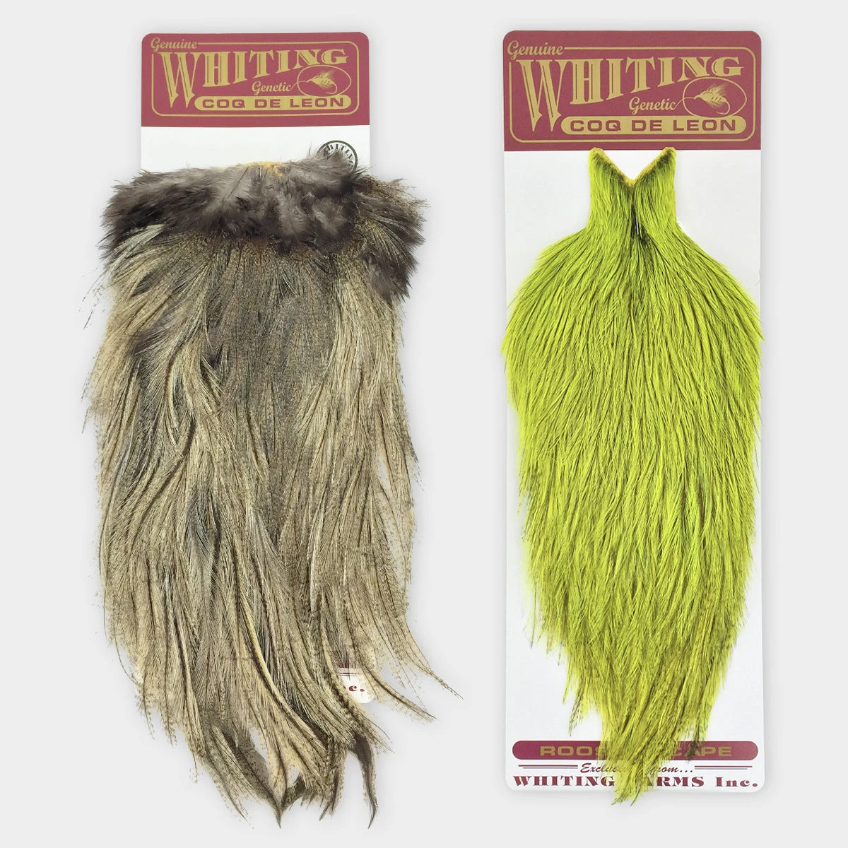 Whiting Coq De Leon Cape 1 Whiting Coq De Leon Cape