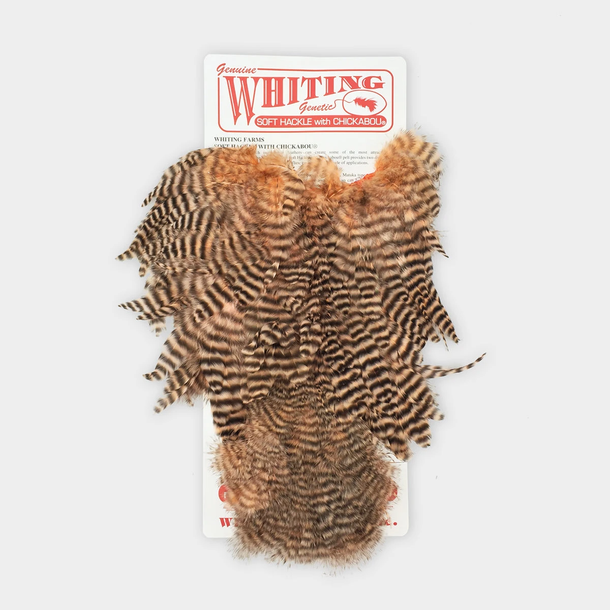 Whiting Rooster SH/C 1 Whiting Rooster SH/C