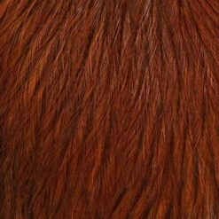 Whiting CDL Tailing Pack -Wild Fishing Trip Shop cdl burnt orange