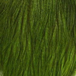 Whiting CDL Tailing Pack -Wild Fishing Trip Shop cdl fl green chart